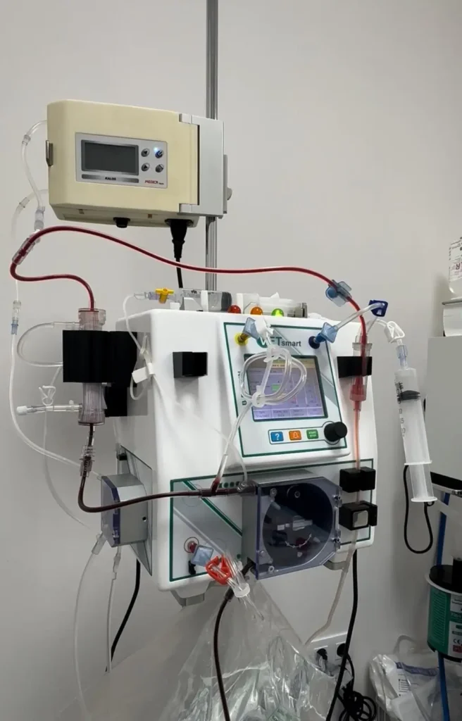 Hemodiálisis Felina - Veterinario de gatos DeGatitos