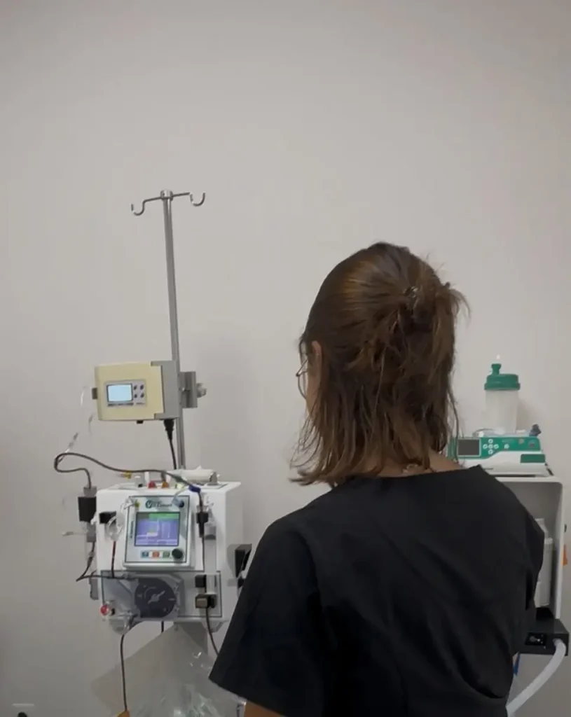 Hemodiálisis Clínica Veterinaria Cat Friendly De Gatitos