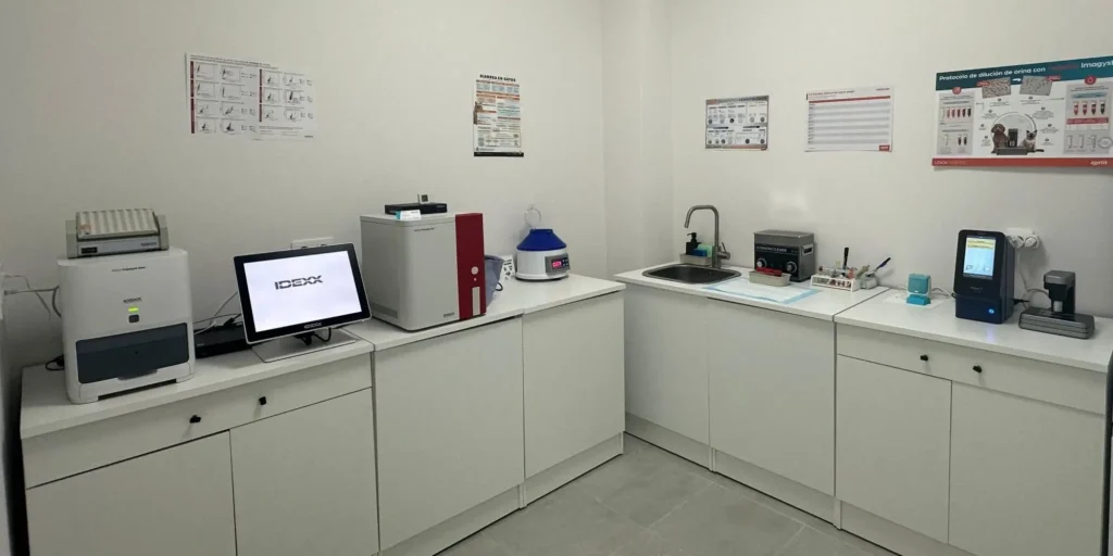 Laboratorio Clinica Cat Friendly De Gatitos