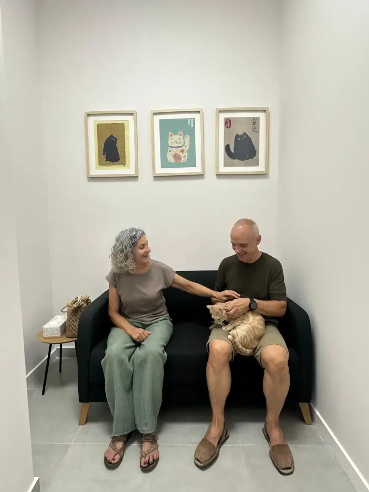 Sala de Visitas 2 Clínica Veterinaria Cat Friendly De Gatitos