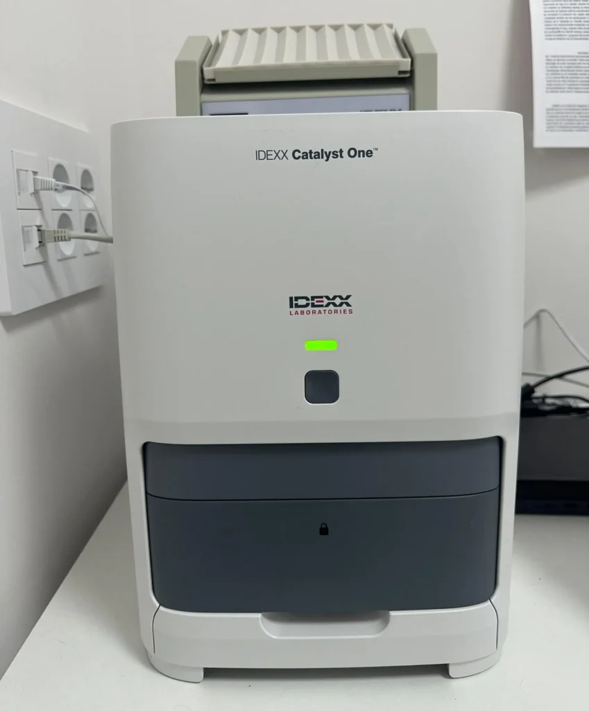 bioquimica_Cat-Friendly_DeGatitos