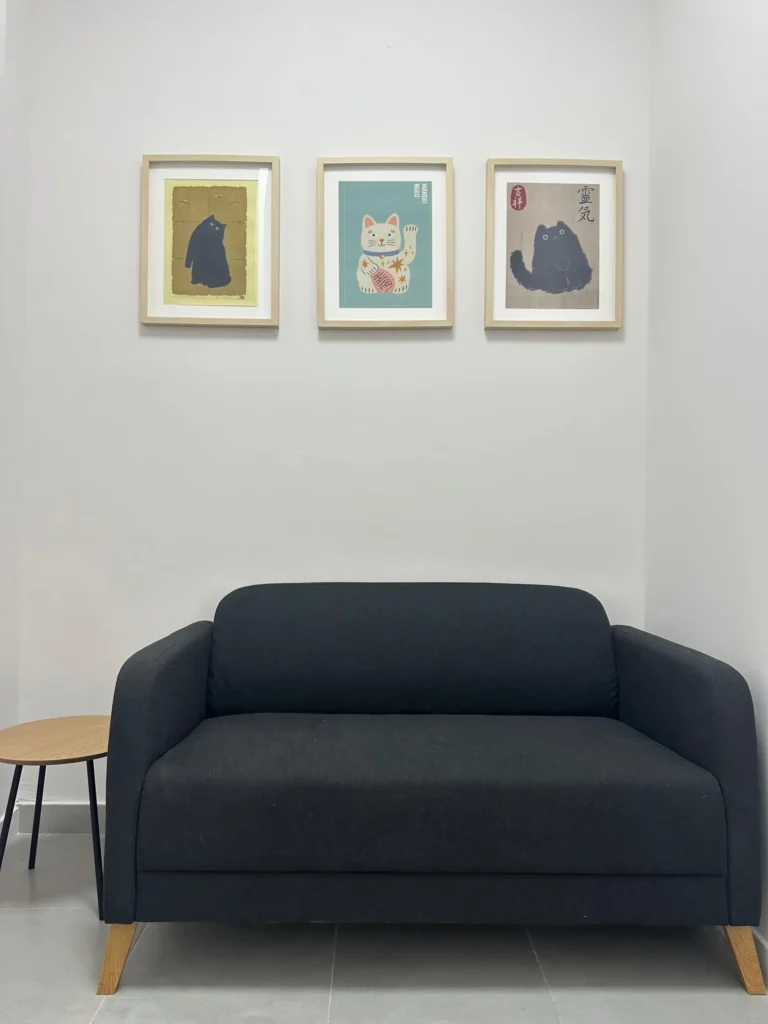 sala-visitas_Cat-Friendly_DeGatitos Sala de Visitas DeGatitos Cat Friendly