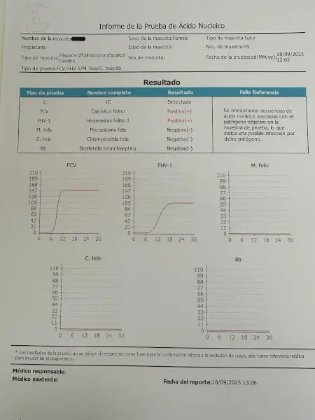 Enfermedades Infecciosas - Clínica veterinaria de gatos | DeGatitos