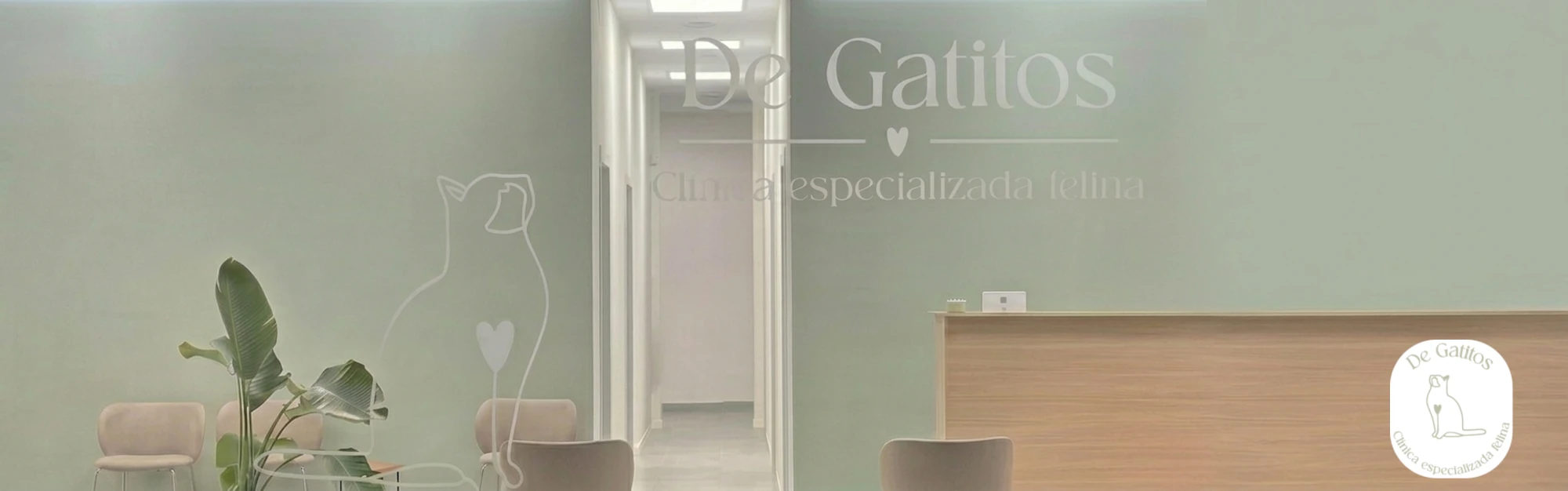 Fachada-Clinica_Cat-Friendly_DeGatitos_logo