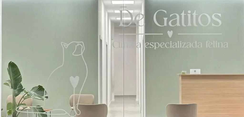 Fachada Clínica Cat Friendly De Gatitos
