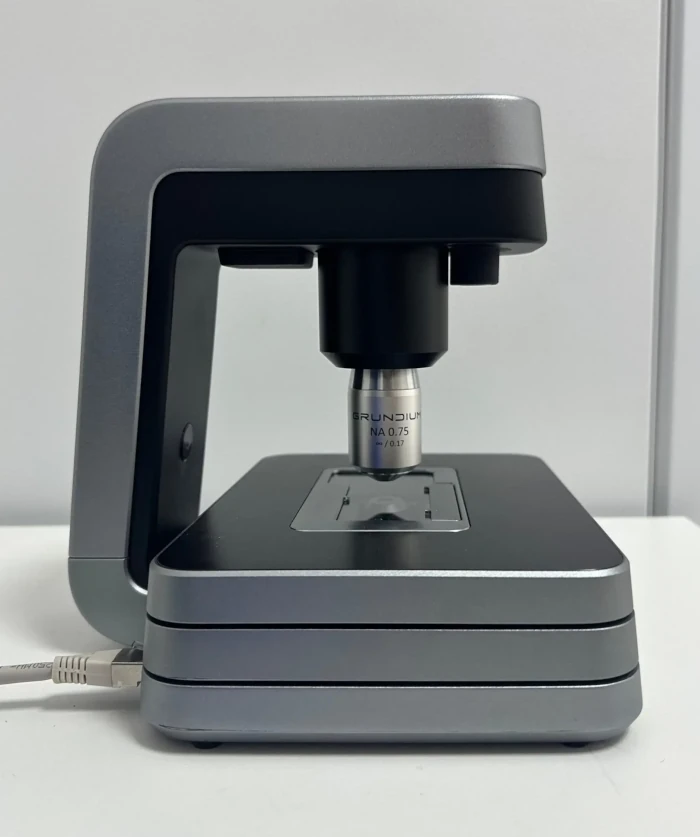 imagyst_Cat-Friendly_DeGatitos